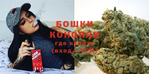 СК Бородино
