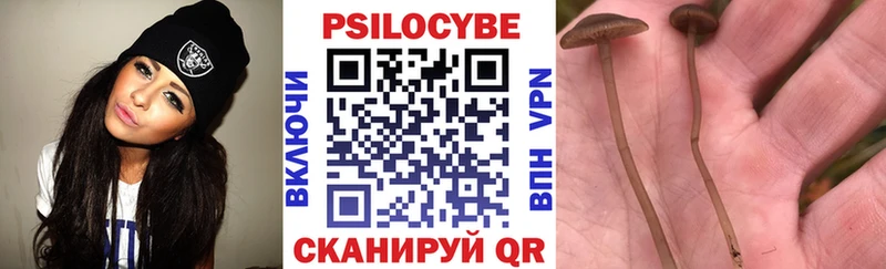гидра вход  Елизаветинская  Галлюциногенные грибы прущие грибы 