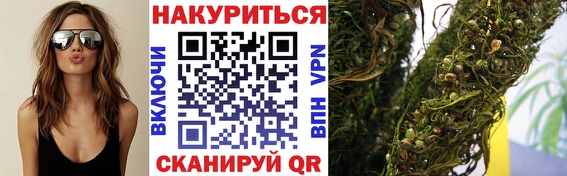 Канабис конопля  Елизаветинская 